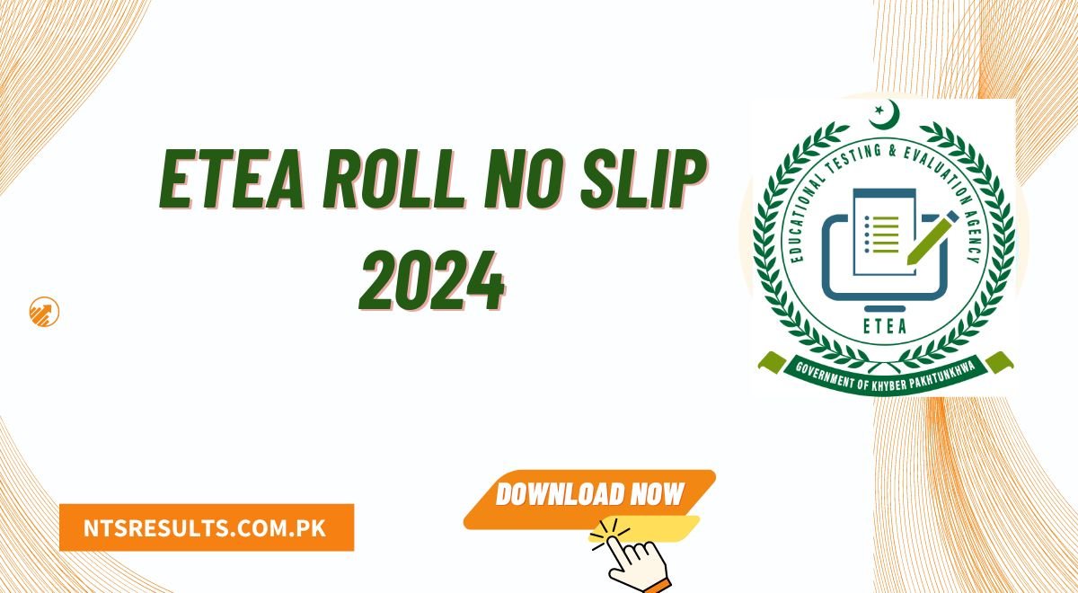 ETEA Roll No Slip 2024 Download Online by CNIC