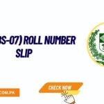 IB GD (BS-07) Roll Number Slip Download @leaonejobs.pk