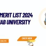 PUGC Merit List 2024 1st, 2nd, 3rd, 4th Final Download Pdf